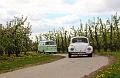 Bloesemrit 2017_ (257)